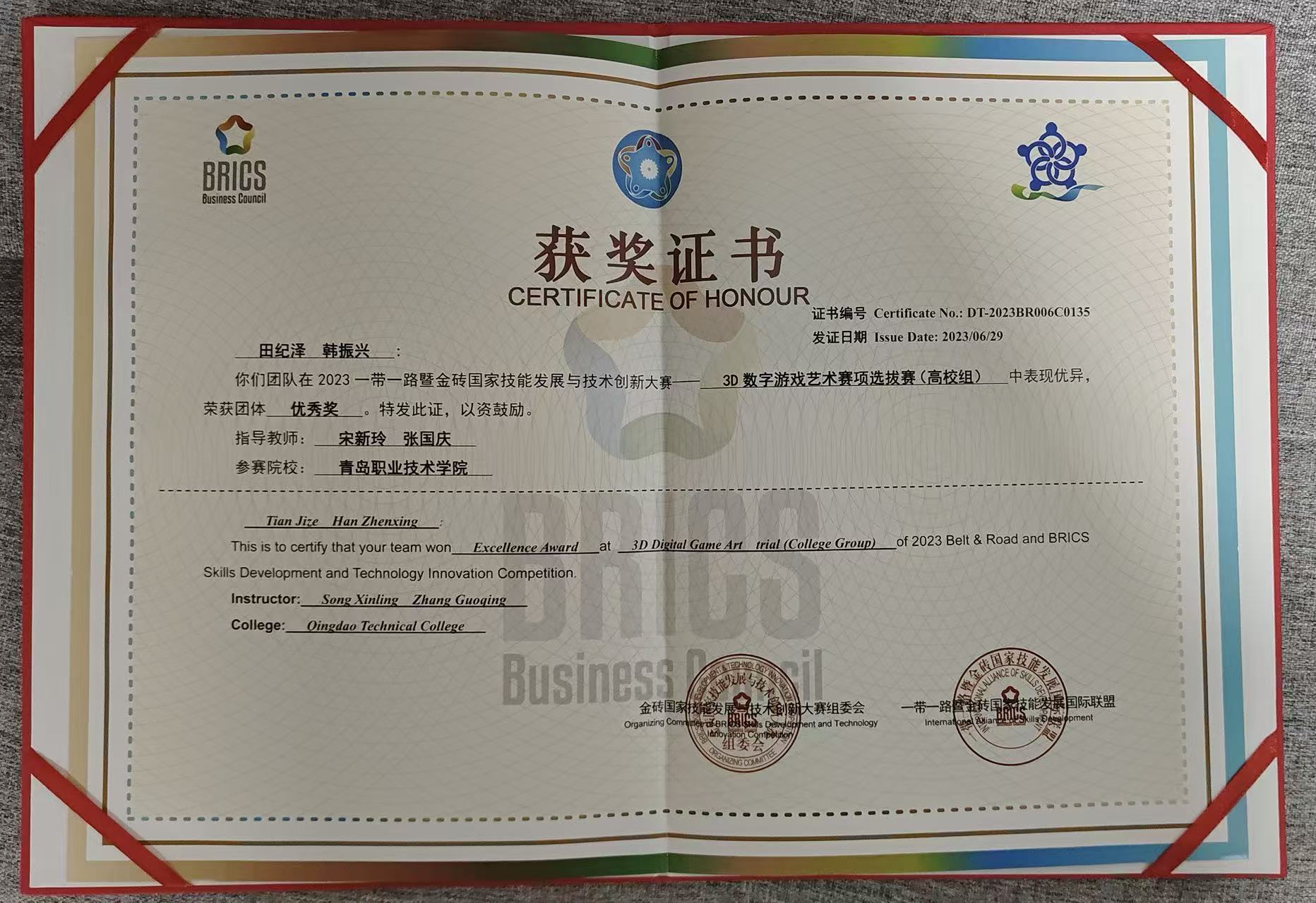 发展与技术创新优秀奖